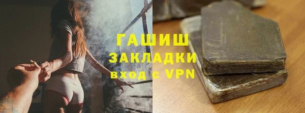 гашик Алексин