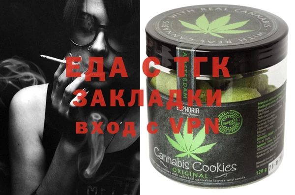 гашик Алексин