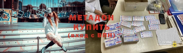 гашик Алексин