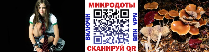 Псилоцибиновые грибы Psilocybine cubensis  продажа наркотиков  Краснокамск 